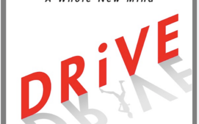Drive. The Surprising Truth About What Motivates Us by Daniel Pink